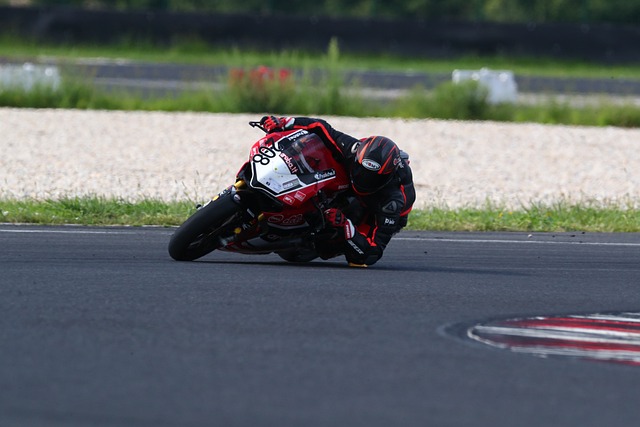 员例如伊卡 员例如伊卡